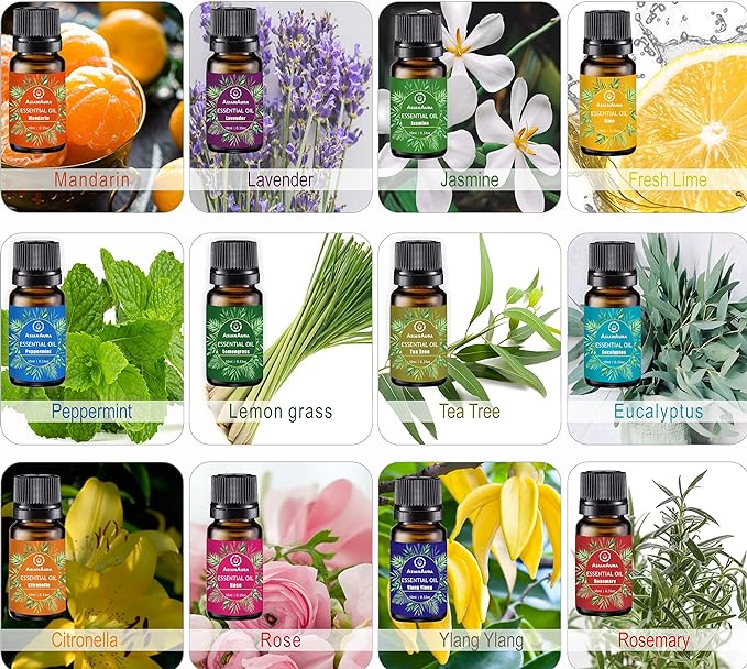 Essential Oil (Pack of 12)