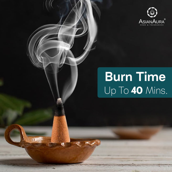 Premium Incense Cones - Rain Forest (40N)