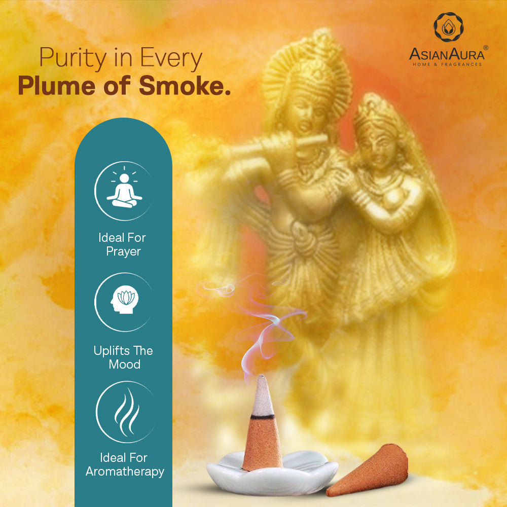 Premium Incense Cones - Rain Forest (40N)