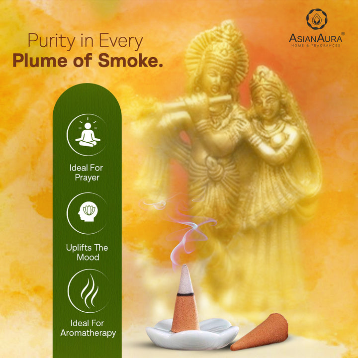 Premium Incense Cones - Charming Woods (40N)